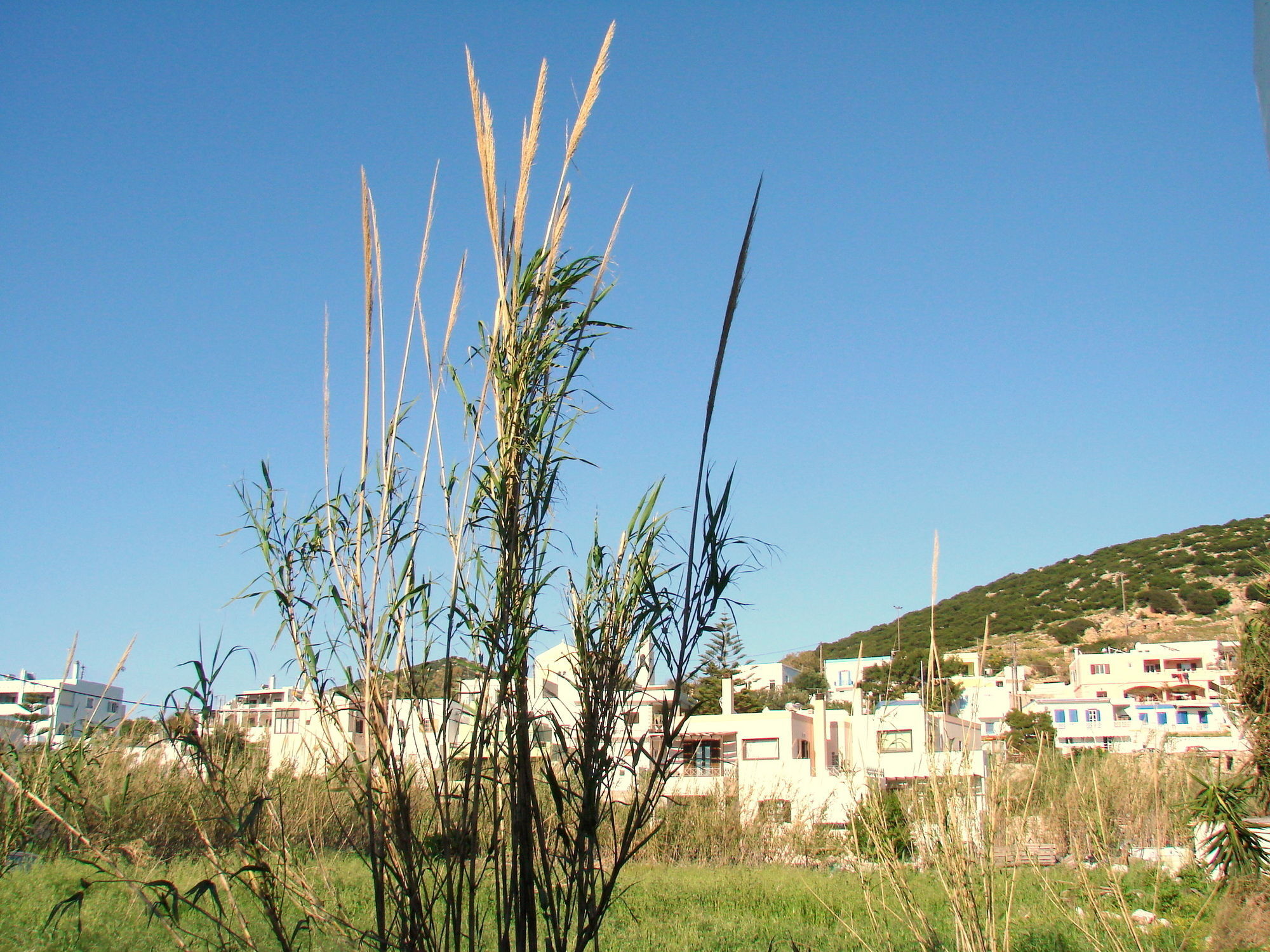 Aegialis Studios & Rooms Galissas Exterior foto